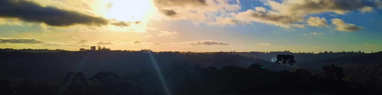 Banner principal do site: Diário de Bordo: 
        Rio Negrinho, a Fazenda Evaristo e a Estrada Dona Francisca